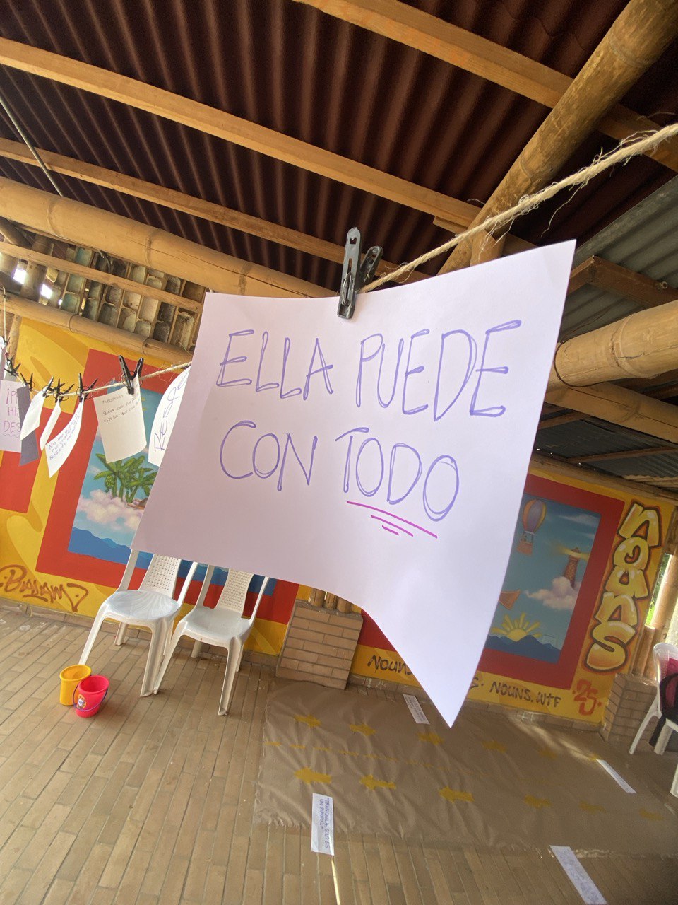 Registro visual de Amapolas, imagen 3